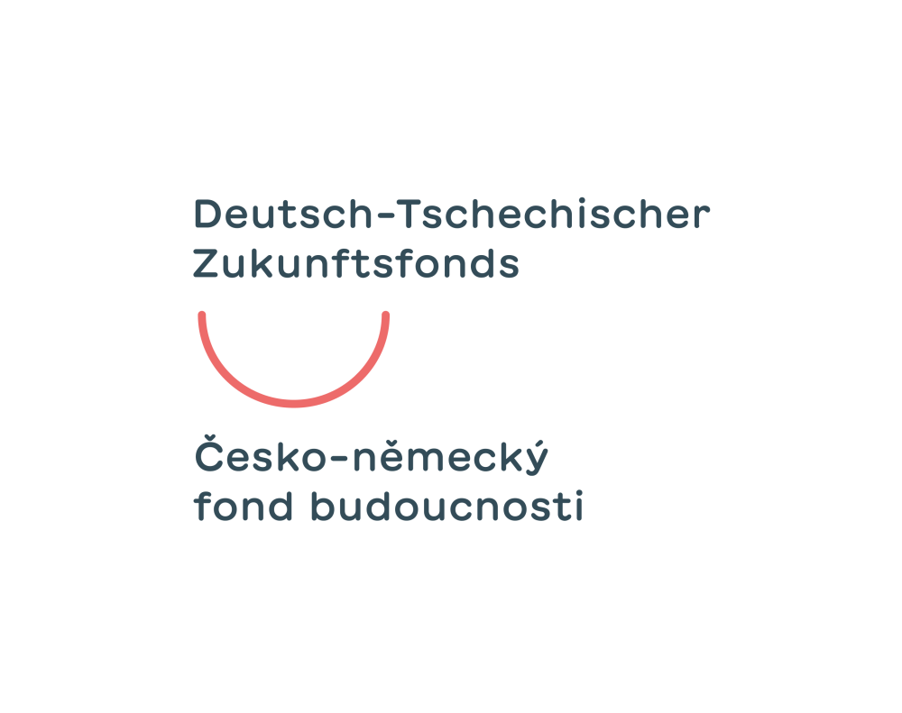 dtzf logotyp grundlogo de